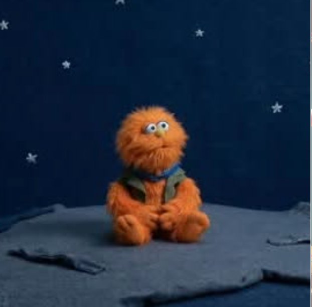 Zip the puppet under the stars
